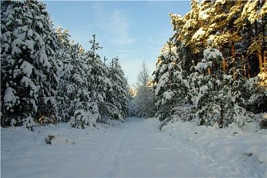 《第9层：开始》免费登陆Steam 类8番出口惊悚解谜