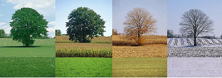 Steam Deck运行《战神4》《极限竞速：地平线5》