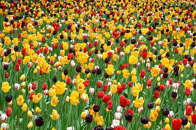 《彩虹六号：围攻》万圣节限时活动预告 怪医诅咒